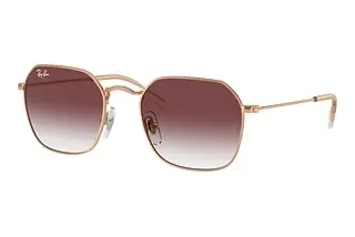 Ray-Ban Kids RJ9594S 291/8H Clear & Dark VioletRose Gold