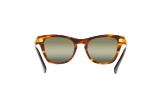 Rückansicht Ray-Ban RB0707SM (954/G4)