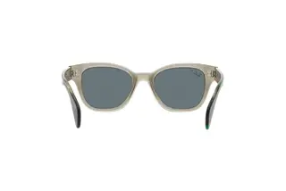 Rückansicht Ray-Ban RB0880S (66353R)