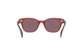 Rückansicht Ray-Ban RB0880S (6639AF)