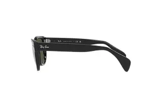 Seitenansicht Ray-Ban RB0880S (901/31)