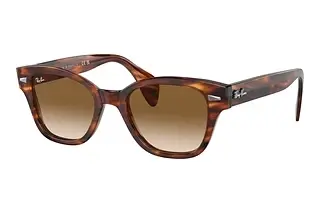 Ray-Ban RB0880S 954/51 BrownStriped Havana