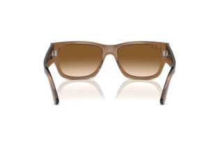 Rückansicht Ray-Ban CARLOS (RB0947S - 664051)