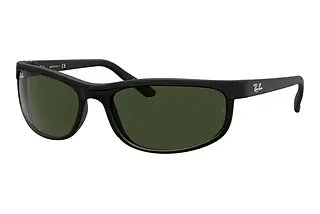 Ray-Ban RB2027 W1847