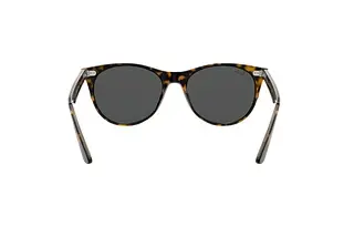Rückansicht Ray-Ban WAYFARER II (RB2185 - 1292B1)