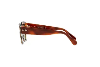 Seitenansicht Ray-Ban ROUNDABOUT (RB2192 - 1325BH)