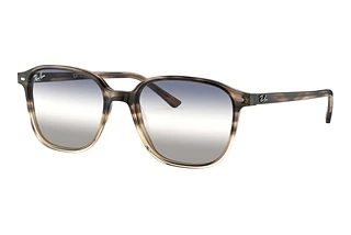 Vorderansicht Ray-Ban LEONARD (RB2193 - 1327GF)