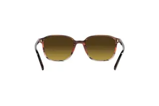 Rückansicht Ray-Ban LEONARD (RB2193 - 138085)