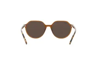 Rückansicht Ray-Ban THALIA (RB2195 - 663693)