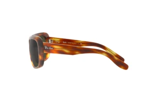 Seitenansicht Ray-Ban BLAIR (RB2196 - 954/31)