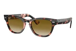 Vorderansicht Ray-Ban LARAMIE (RB2201 - 133451)