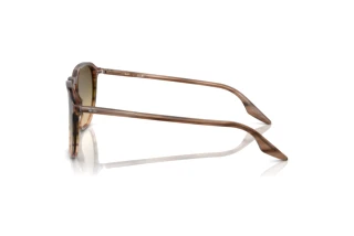 Seitenansicht Ray-Ban RB2203 (13920A)