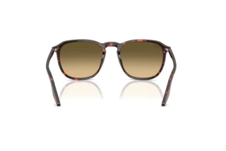 Rückansicht Ray-Ban RB2203 (14290A)
