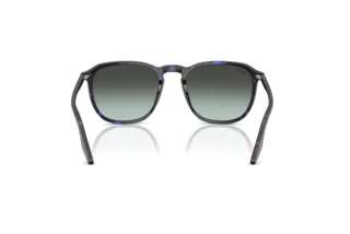 Rückansicht Ray-Ban RB2203 (1430GK)
