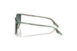 Seitenansicht Ray-Ban RB2204 (1394GK)