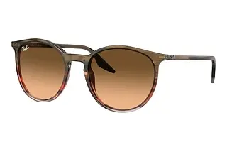 Ray-Ban RB2204 13953B Pink/BlackStriped Brown & Red