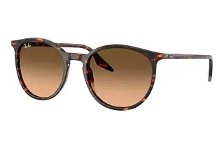 Ray-Ban RB2204 14293B Pink Gradient BlackHavana Red Turtle