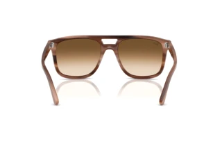 Rückansicht Ray-Ban RB2213 (142351)