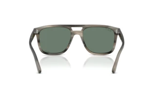 Rückansicht Ray-Ban RB2213CH (14243R)