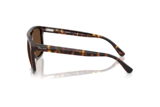 Seitenansicht Ray-Ban RB2213CH (902/AN)
