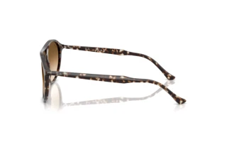 Seitenansicht Ray-Ban RB2215 (143151)