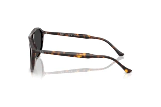 Seitenansicht Ray-Ban RB2215 (902/48)
