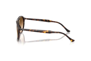 Seitenansicht Ray-Ban RB2215 (902/51)