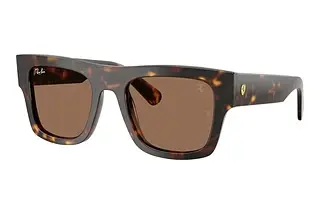 Ray-Ban RB 2217M F61373