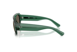 Seitenansicht Ray-Ban RB2218 (6681/3)