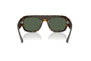 Rückansicht Ray-Ban RB2218 (679071)