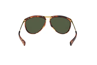 Rückansicht Ray-Ban OLYMPIAN AVIATOR (RB2219 - 954/31)