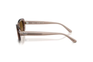 Seitenansicht Ray-Ban RB2221 (6827M2)