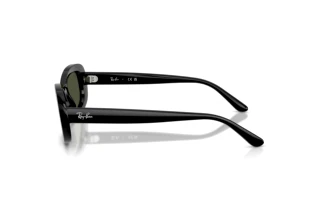 Seitenansicht Ray-Ban RB2221 (901/31)