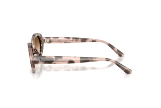 Seitenansicht Ray-Ban RB2223 (144951)