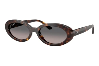 Vorderansicht Ray-Ban RB2223 (902/M3)
