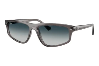 Vorderansicht Ray-Ban RB2225 (667532)