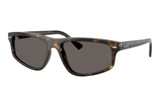 Vorderansicht Ray-Ban RB2225 (710/B1)