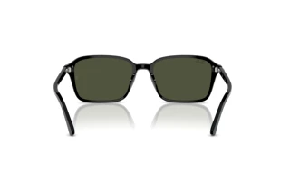 Rückansicht Ray-Ban RAIMOND (RB2231 - 901/31)