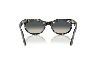 Rückansicht Ray-Ban WAYFARER OVAL (RB2242 - 133371)