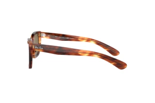 Seitenansicht Ray-Ban CARIBBEAN (RB2248 - 954/57)