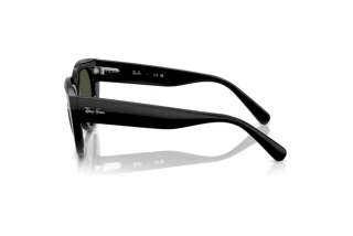 Seitenansicht Ray-Ban DOREEN (RB2286 - 901/31)