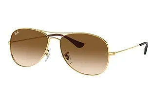 Ray-Ban RB3362 001/51