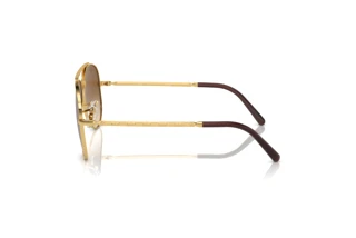 Seitenansicht Ray-Ban NEW AVIATOR (RB3625 - 001/51)