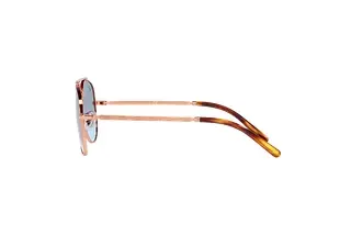 Seitenansicht Ray-Ban NEW AVIATOR (RB3625 - 92023F)