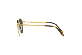 Seitenansicht Ray-Ban NEW ROUND (RB3637 - 919631)