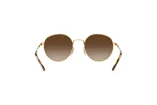 Rückansicht Ray-Ban RB3681 (001/13)