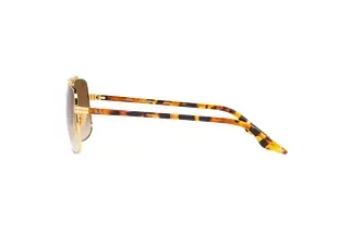 Seitenansicht Ray-Ban RB3699 (001/51)