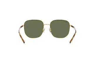 Rückansicht Ray-Ban RB3713D (001/9A)