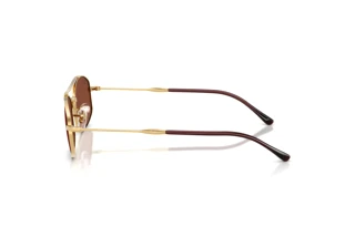 Seitenansicht Ray-Ban RB3719 (001/C5)