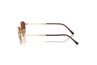 Seitenansicht Ray-Ban RB3749 (001/C5)